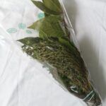 37b6be46-fcf9-403e-8952-4b5cb12bc060