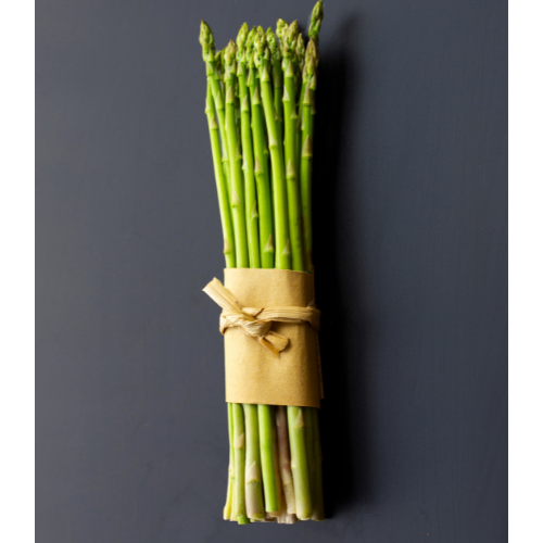 Contenedor Sello Plus