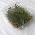 c878275d-0b7f-4261-bb9e-e9a120567198